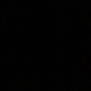 Meet your Posher, Brodie